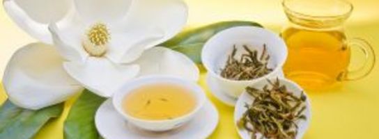 Składnik zielonej herbaty hamuje rozwój sepsy