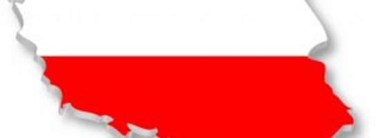Polska to istotnie dzikie państwo!