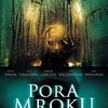Brak zdjęcia