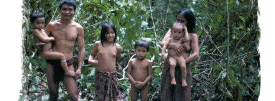 20 lat Penanów w walce o zachowanie środowiska życia