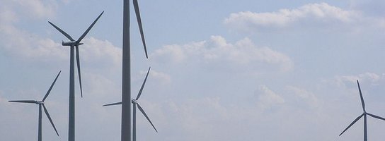 Czy nietoperze zablokują rozwój energetyki wiatrowej w Polsce?