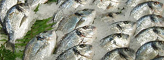 Nowe korzyści z jedzenia ryb